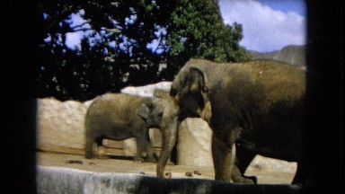 1966: Ceremony Punchbowl Lake Wilson Kapiolani Park. People Setting Up At The