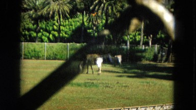 1966: Ceremony Punchbowl Lake Wilson Kapiolani Park. People Setting Up At The
