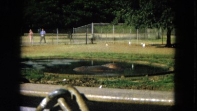 1966: Ceremony Punchbowl Lake Wilson Kapiolani Park. People Setting Up At The Stage