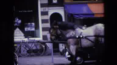 Amsterdam Netherlands-1967: Horse Carriage In The Road With Cars Passing By