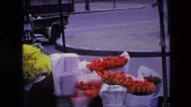 AMSTERDAM NETHERLANDS-1967: A Florist Sells Chrysanthemums And Tulips On The Sidewalk