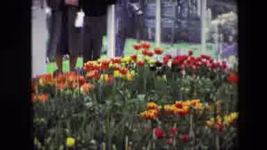 Amsterdam Netherlands (1967): Three People Converse On Lawn Near Flower Garden