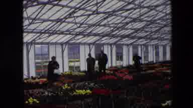 Amsterdam Netherlands (1967): Four People Walking Around In A Greenhouse With A