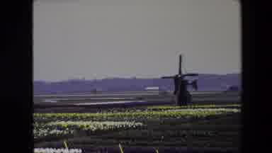Amsterdam Netherlands (1967): Change Direction Not According To The Wind, But