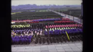 Amsterdam Netherlands (1967): A Farmer's View Of A Garden And Flower Beds
