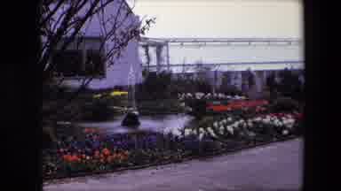 Amsterdam Netherlands (1967): People Walking Around Garden Of Large House With