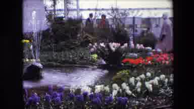 Amsterdam Netherlands (1967): Close Up Of A Garden