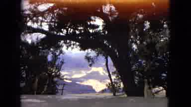 Arizona (1967): Mountains Trees Possibly Grand Canyon