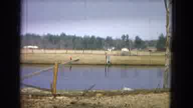 Arizona (1967): Hanging Out By The Lake
