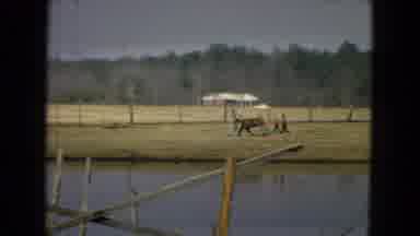 Arizona-1967: Children Walking a Horse Across a Dry Field Near a Pond