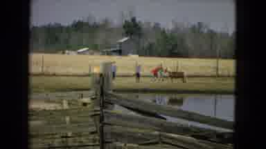 Arizona (1967): Lovely Scene Of Young People On A Farm Playing With A Young Horse.