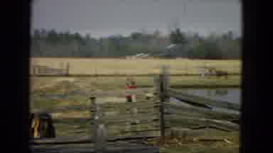 Arizona (1967): Two Girls Running Somewhere...Two People In A Field With A Pony