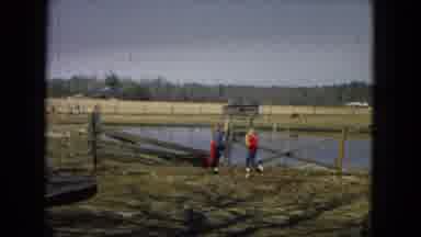 Arizona (1967): Two Teenage Girls Hopping Fence By Lake