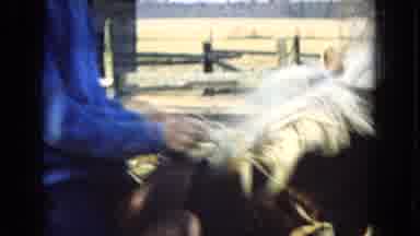 Arizona (1967): Young Child Rides A Horse Short Distance In Pasture