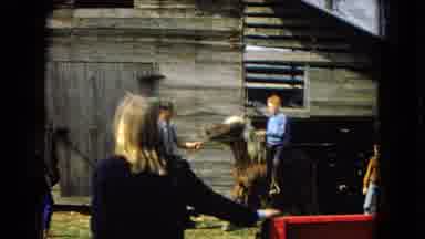 Arizona (1967): Leading Horse Riding