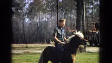 Arizona (1967): Man In Short Sleeved Shirt On Saddle Riding Brown Horse With White