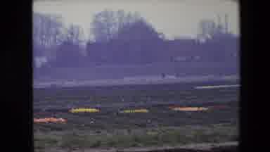 BRUSSELS BELGIUM-1967: Farm Land Growing Flowers With Hay Bale