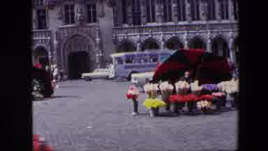 Brussels Belgium (1967): Beautiful Flowers Sold On Open Court