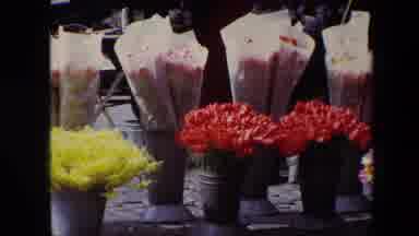 Brussels Belgium (1967): A Bunch Of Flowers In Flower Pots At A Flower Stand