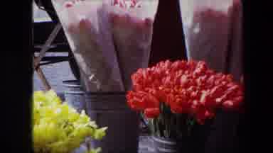 Brussels Belgium (1967): Sale Of Flowers At The Market