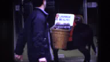 BRUSSELS BELGIUM-1967: Donkey With Lavender Basket On City Street