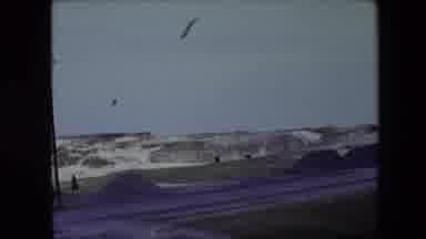 Calais France (1967): Winter Sucks