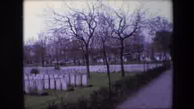 Calais France (1967): Dying Trees In A Cemetery