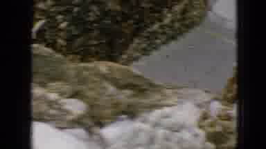 IOWA USA-1967: Boy Watching A River And A Forest From A Cliff Near The Rocks