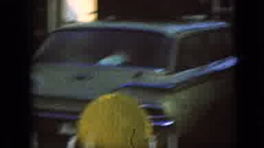Iowa USA (1967): Cows Enjoy Roaming In The Grassy Fields