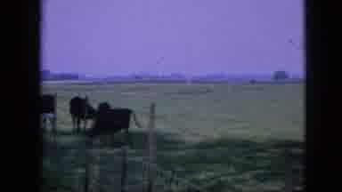 Iowa USA (1967): The Excitement Of Big City Living Or The Peaceful And Very