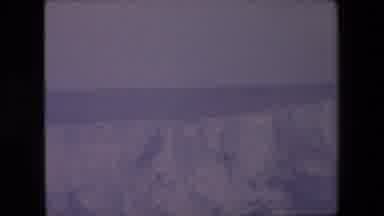 London England (1967): Loan Seagull Ocean Flying Bird