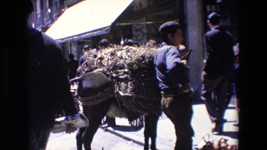 Madrid Spain (1967): Sightseeing On Holiday A Donkey