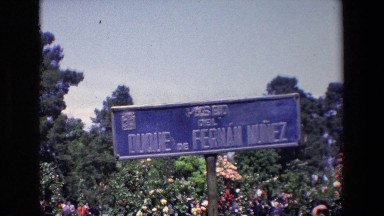 Madrid Spain (1967): Spanish Location Of A Wedding Ceremony With Guests And A
