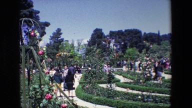 Madrid Spain (1967): People Garden Path Roses Kids Flower Garden People Visiting