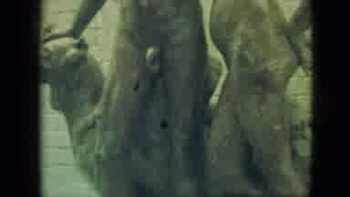 Branson Missouri USA (1968): Statue Of Adam And Eve