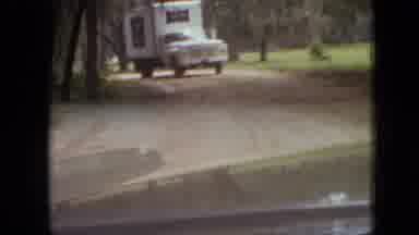 Branson Missouri USA (1968): Dog Playing In The Yard