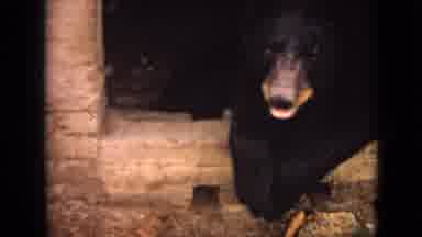 Branson Missouri USA (1968): Having Free Time To Relax And Doing Time Pass By