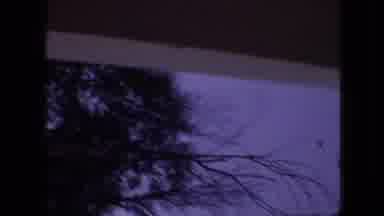 Branson Missouri USA (1968): There Is Same Trees Nearby A House