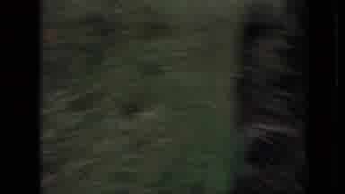 Branson Missouri USA (1968): Swing-Set Outside In Garden