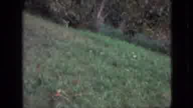 Branson Missouri USA (1968): Running Falling Near Playground And Garbage Cans