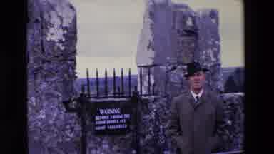 Ireland (1969): Peacock Bird Free Roaming Zoo Grounds Showing Plumage