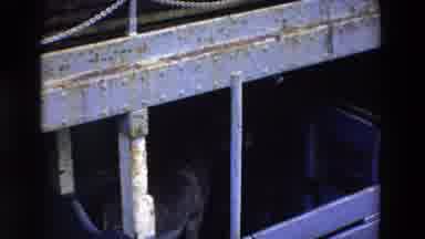 Ireland (1969): Dog Bridge In The City