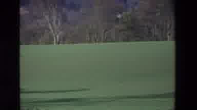 Ireland (1969): Flat Landscape Greenery With Trees