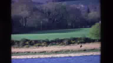 Ireland (1969): Rolling Hills With River