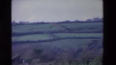 Ireland (1969): A Sea Of Trees