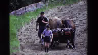 Loudes France (1969): Two Boys Leading A Team Of Oxen To Their Country Home