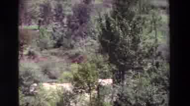 Spain Vineyards (1969): A Stream Runs Through A Forested Area In The Summer