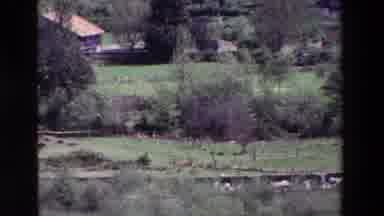 Spain Vineyards (1969): A Giant Compound Away From From Most Others Animal