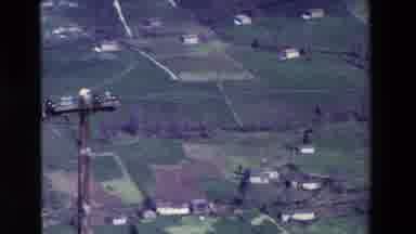 Spain Vineyards (1969): Grounds Full Of Grass A Beautiful Color Green Of The Grass