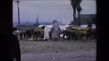 Algeria (1971): People Walking With An Animal Carrying Some Load